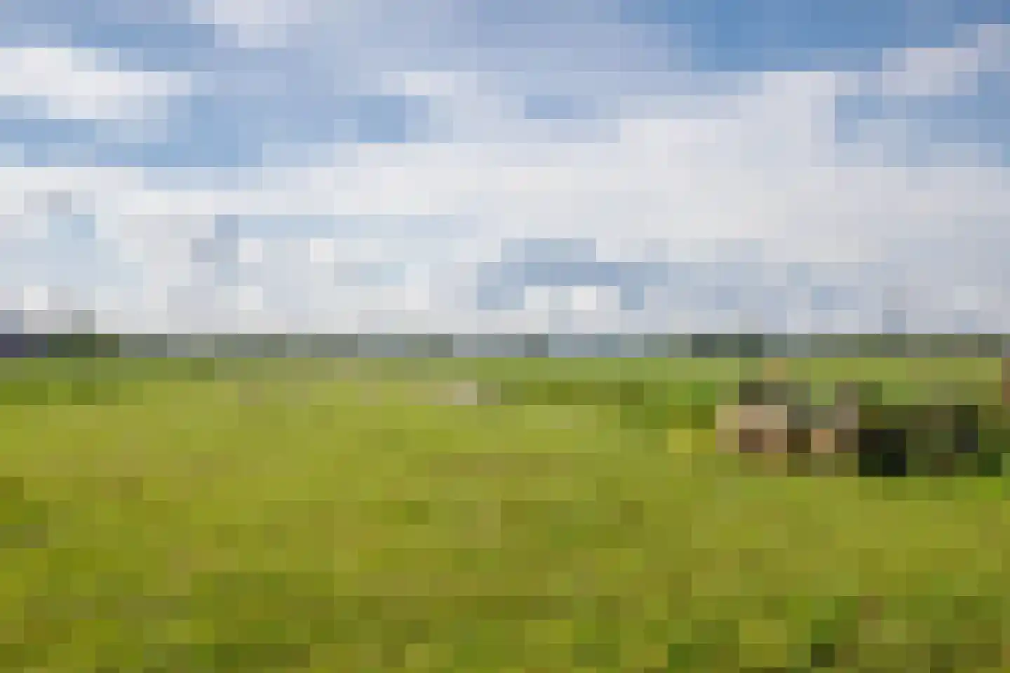 Tussenlanen 51 Bergambacht thumbnail 63