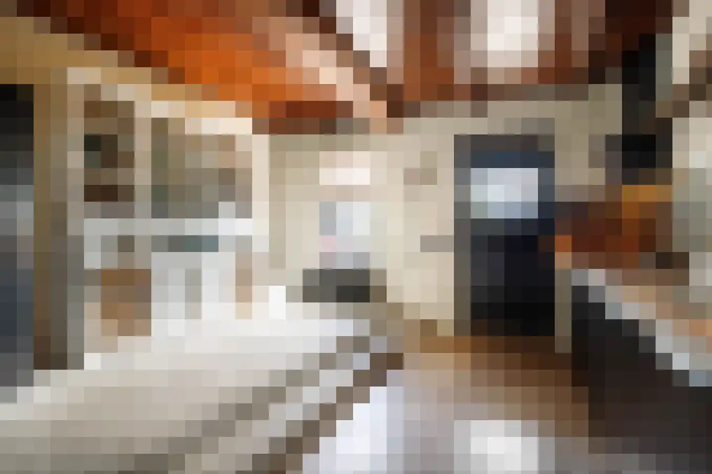Tussenlanen 51 Bergambacht thumbnail 8