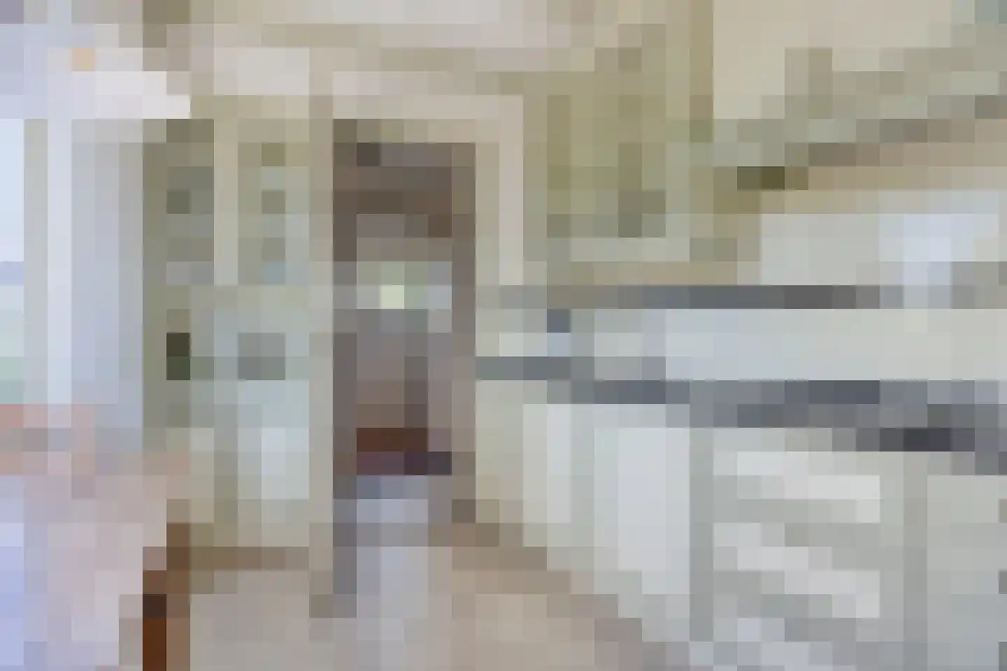 Tussenlanen 8 Bergambacht thumbnail 13