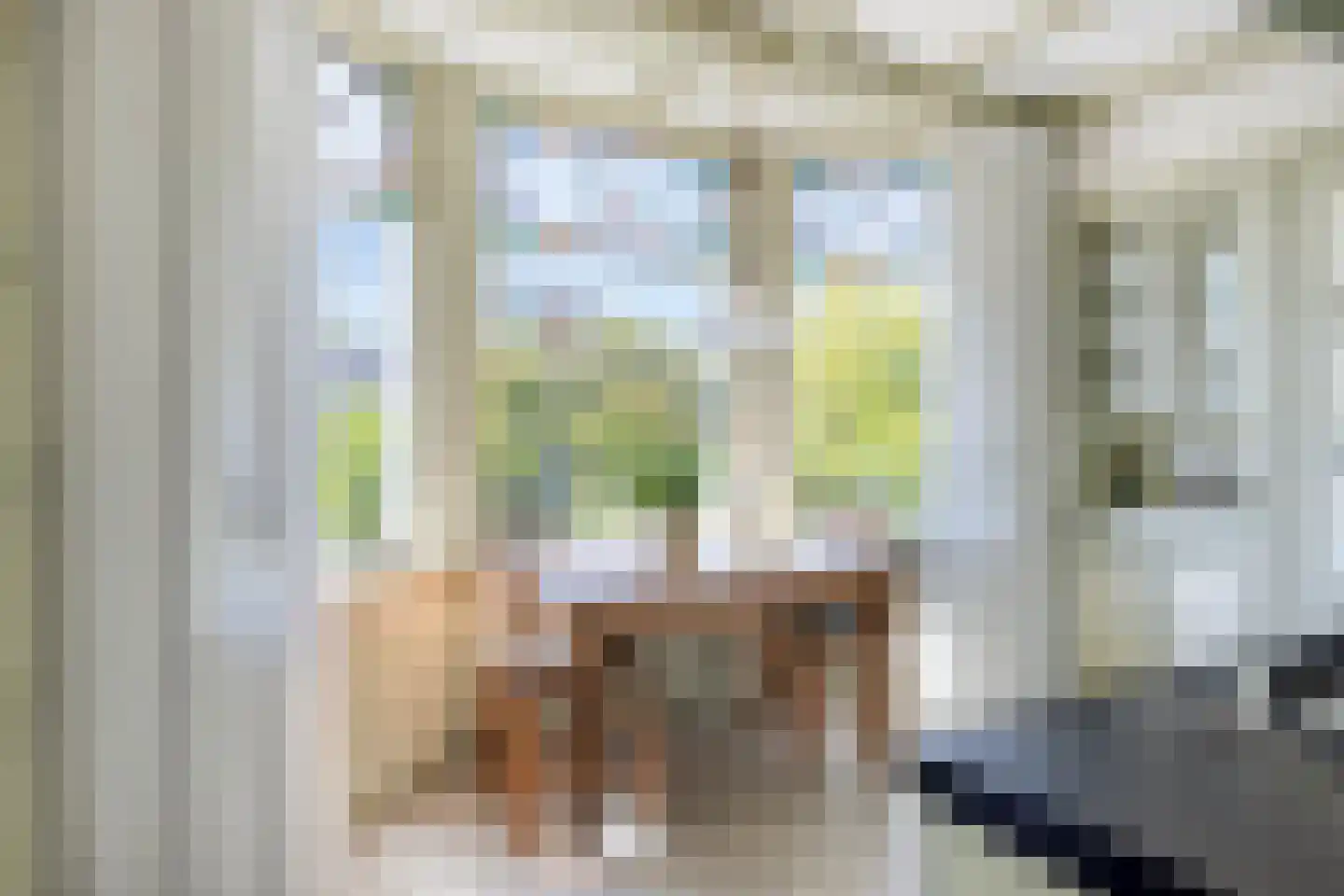 Tussenlanen 8 Bergambacht thumbnail 15