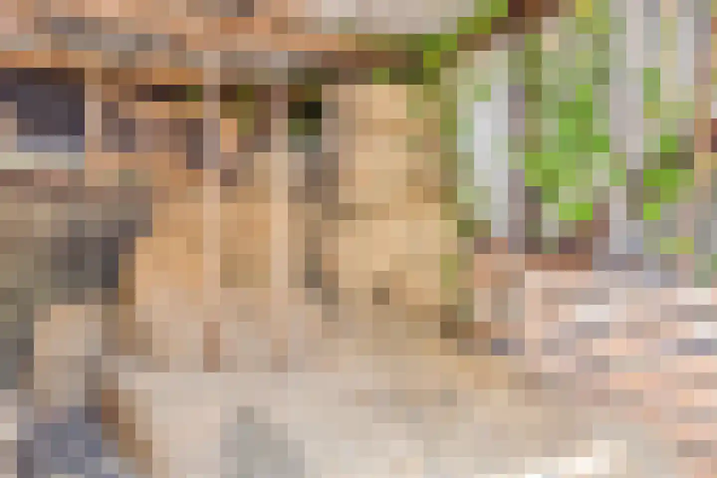 Tussenlanen 8 Bergambacht thumbnail 35