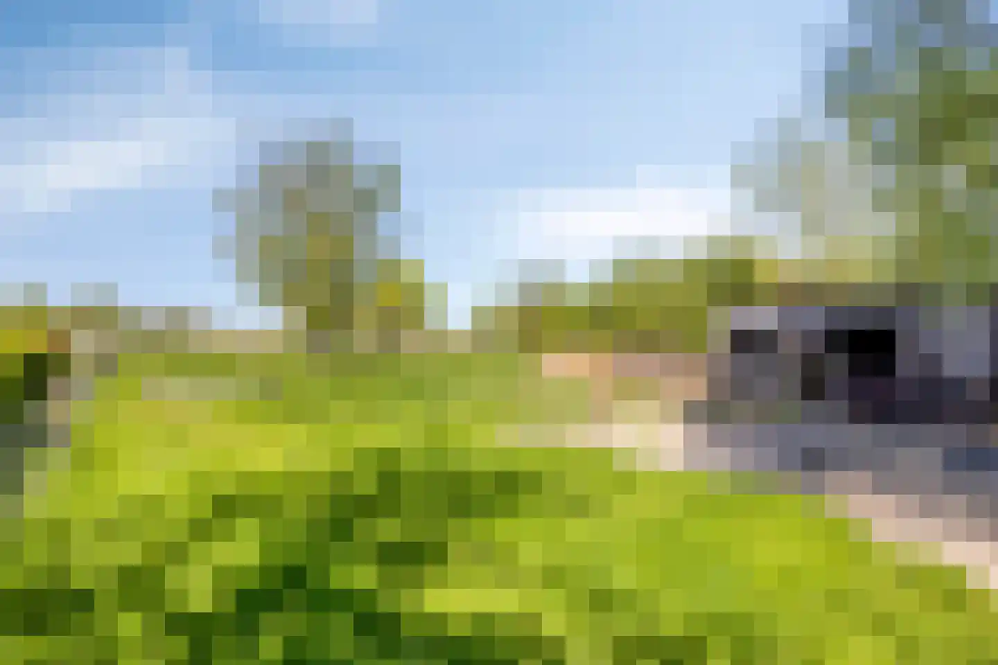 Tussenlanen 8 Bergambacht thumbnail 36