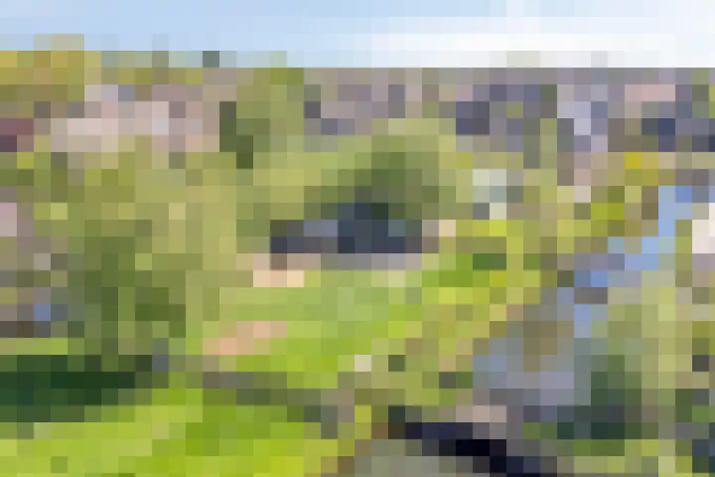 Tussenlanen 8 Bergambacht thumbnail 37