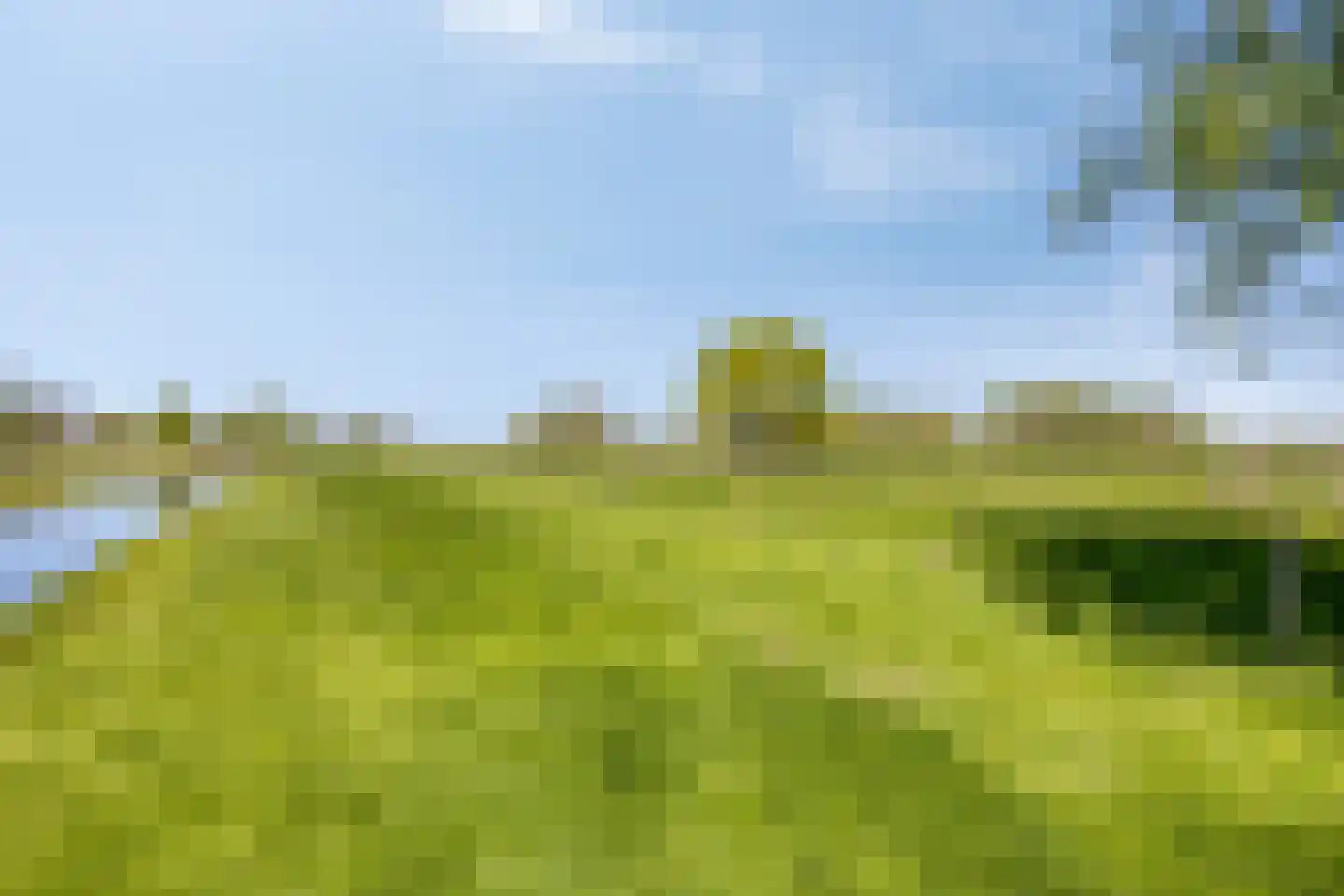 Tussenlanen 8 Bergambacht thumbnail 38