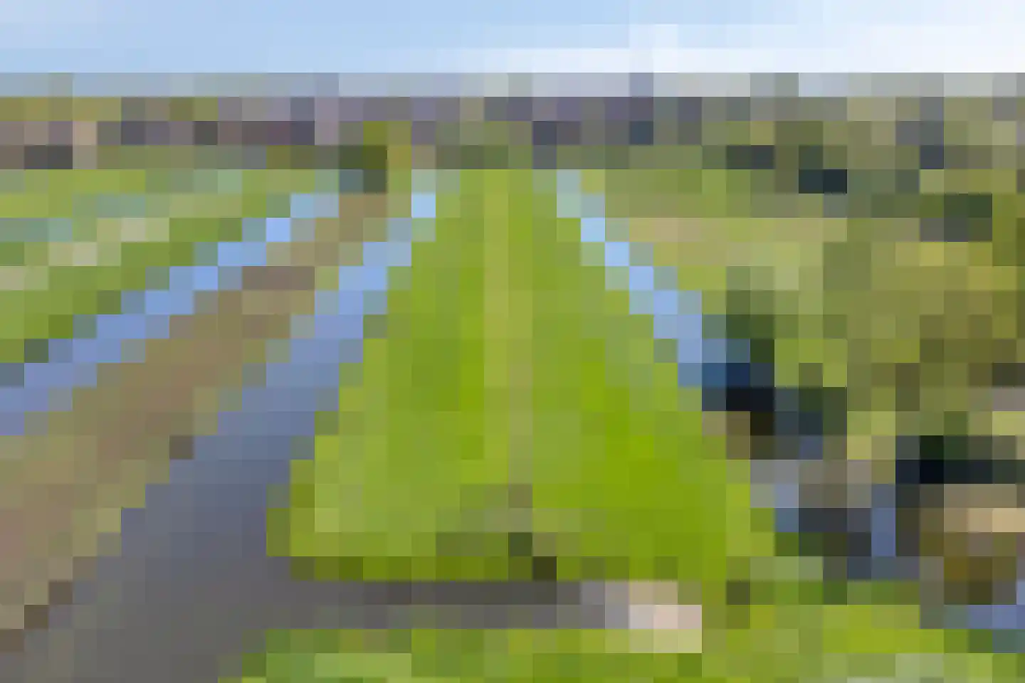 Tussenlanen 8 Bergambacht thumbnail 39