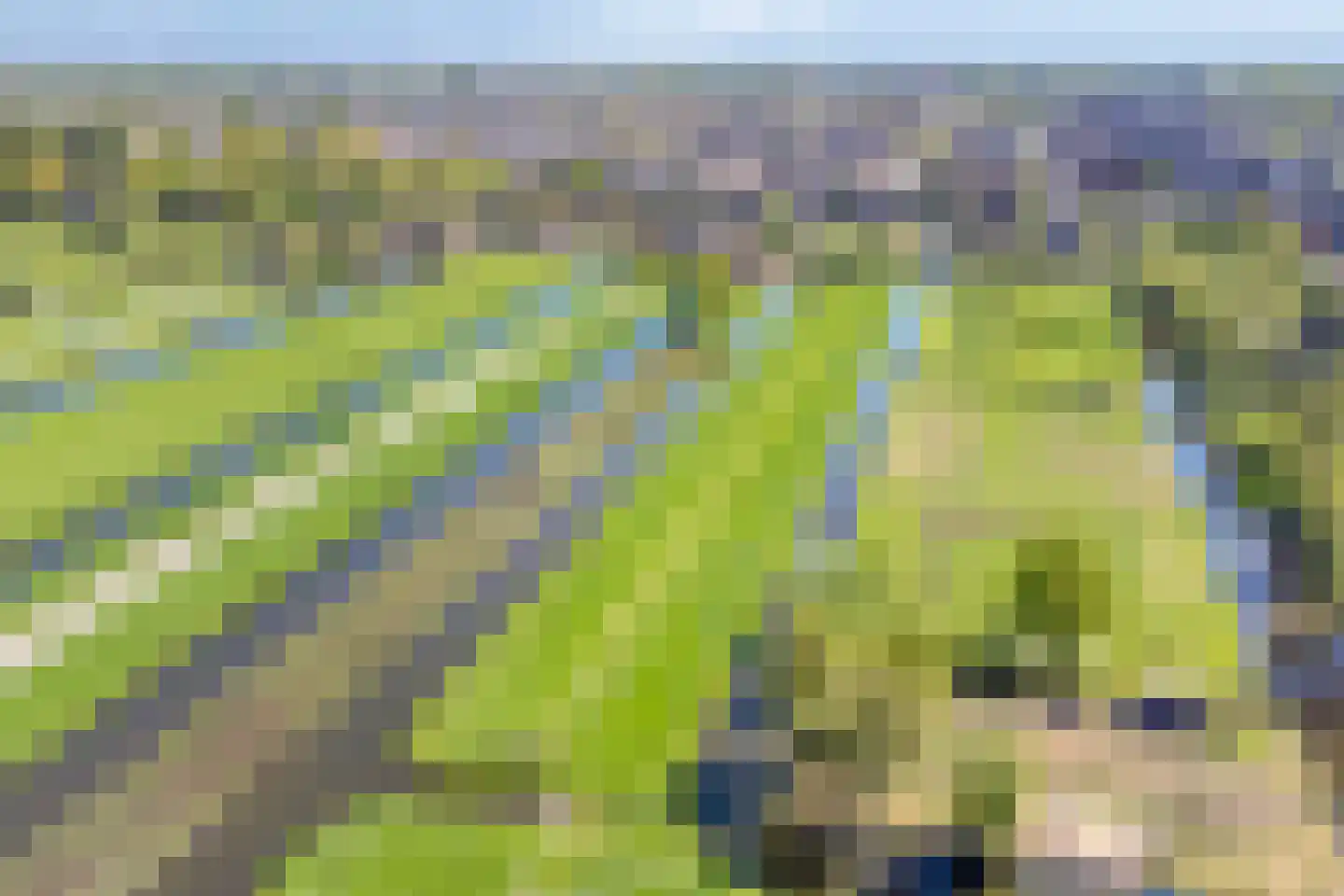 Tussenlanen 8 Bergambacht thumbnail 40