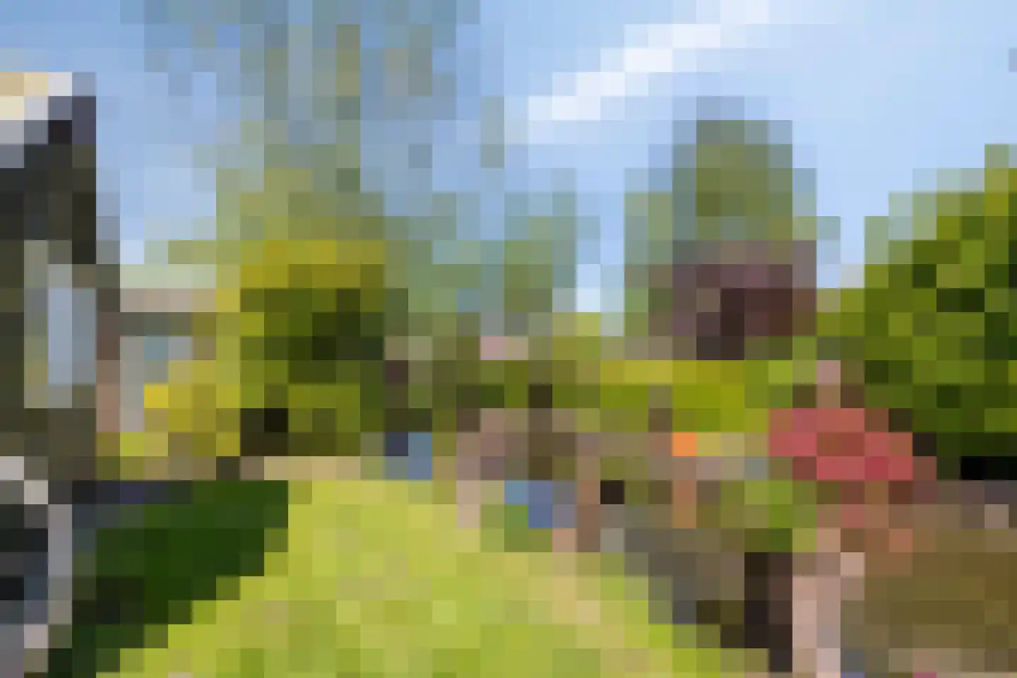 Tussenlanen 8 Bergambacht thumbnail 41