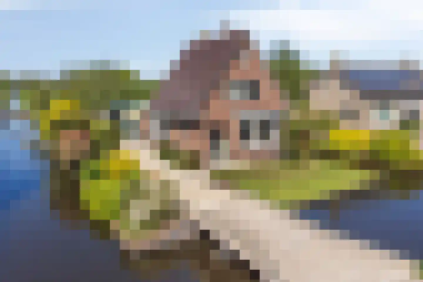 Tussenlanen 8 Bergambacht thumbnail 42