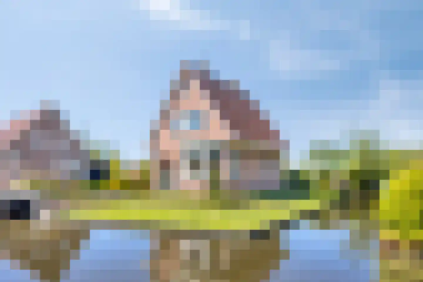 Tussenlanen 8 Bergambacht thumbnail 5