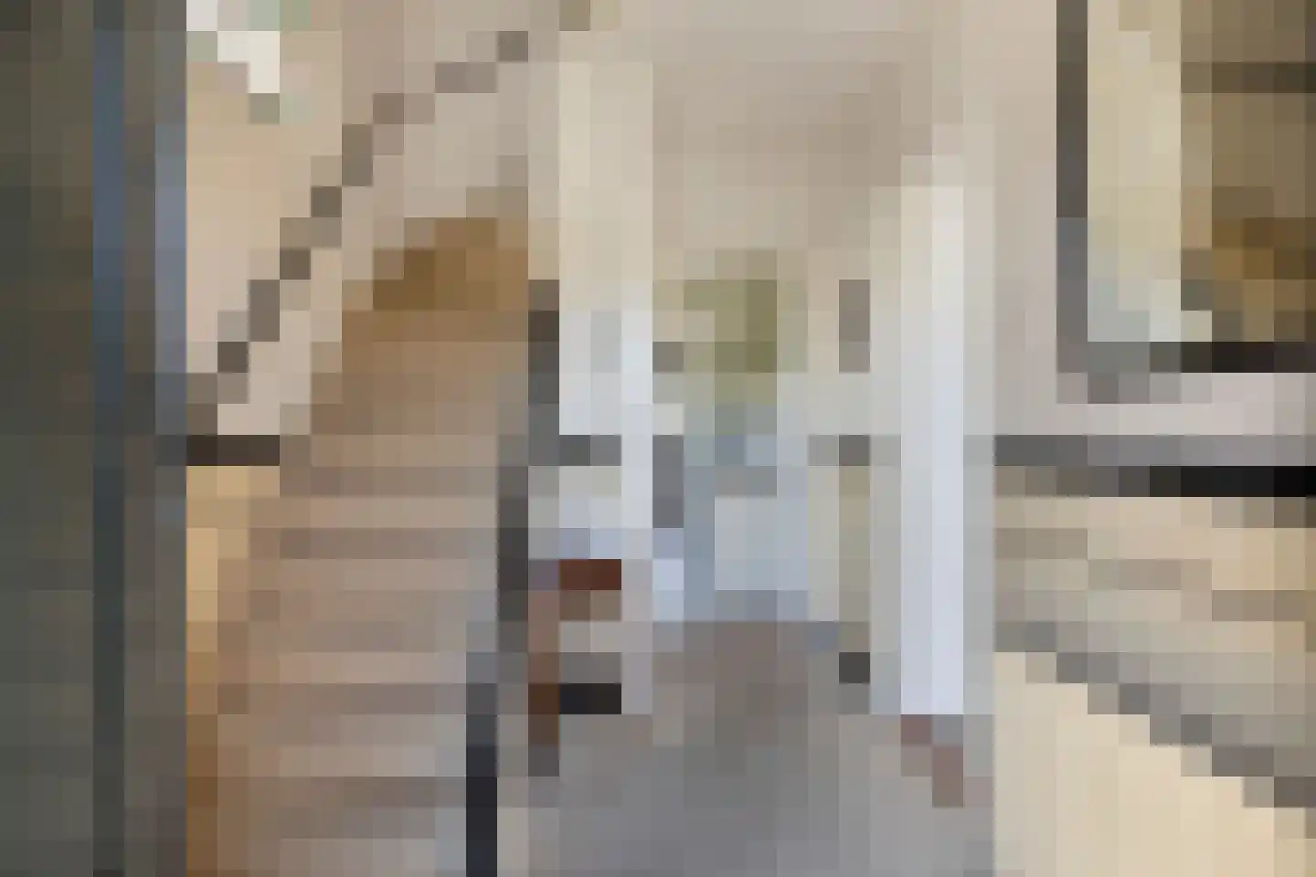 Tussenlanen 8 Bergambacht thumbnail 6