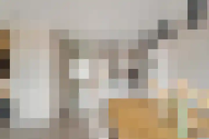 Tussenweg 64 Druten thumbnail 12