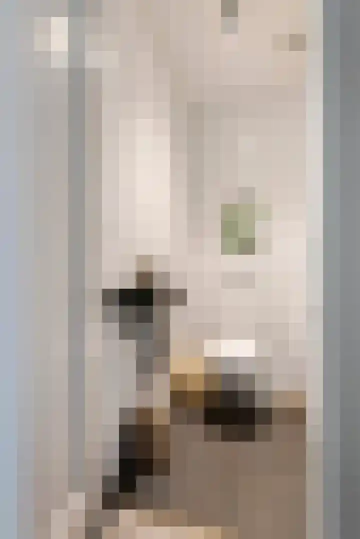Tussenweg 64 Druten thumbnail 25