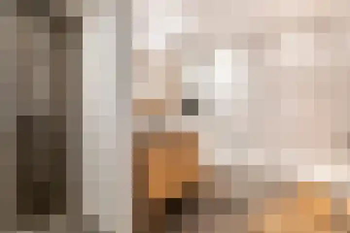 Tussenweg 64 Druten thumbnail 4