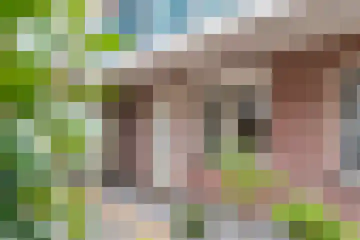 Tussenweg 64 Druten thumbnail 5