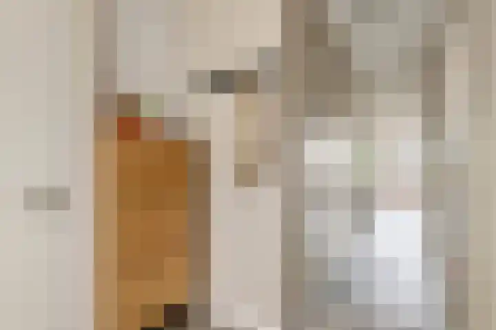 Tussenweg 64 Druten thumbnail 6
