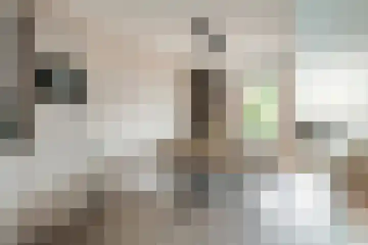 Tussenweg 64 Druten thumbnail 7