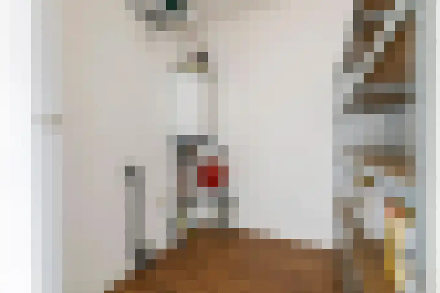 Tussenweg 78 Druten thumbnail 20