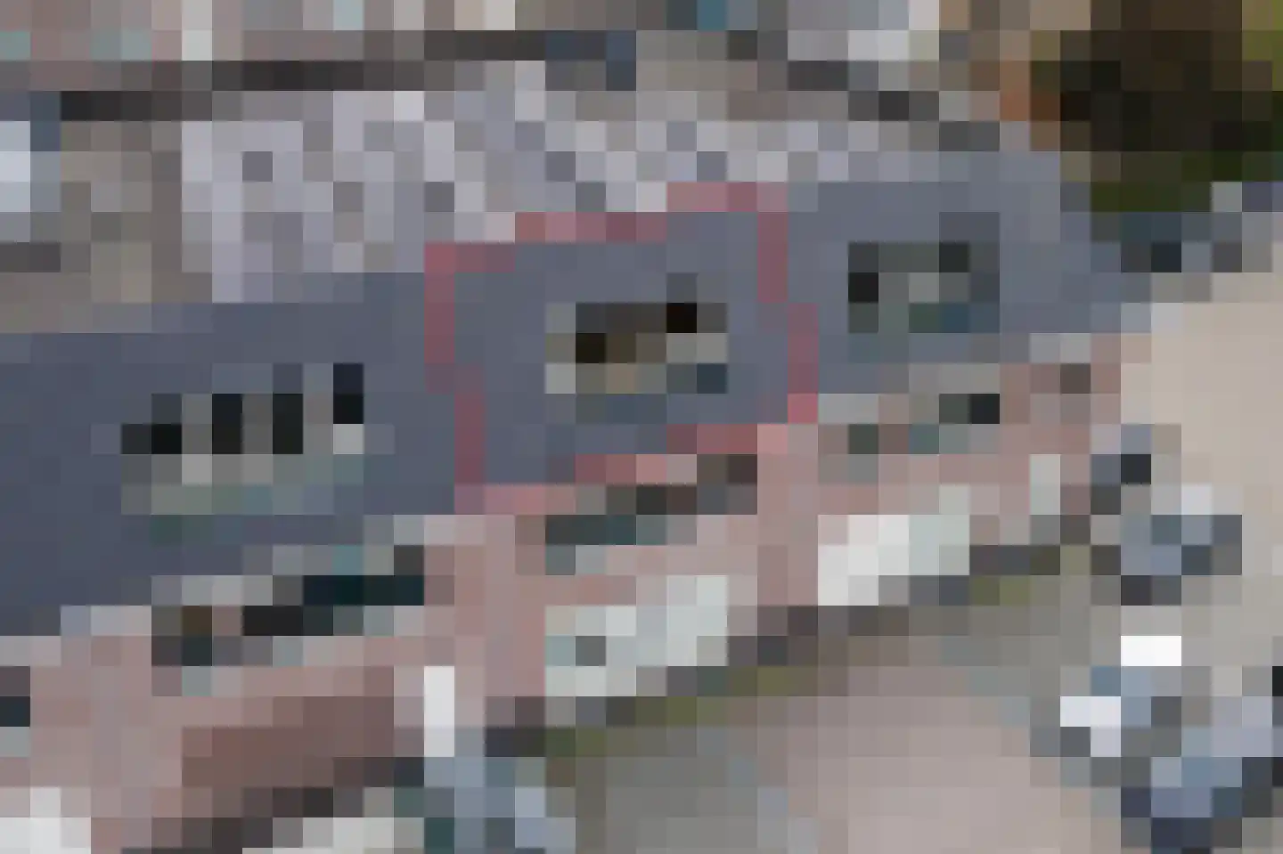 Tussenweg 78 Druten thumbnail 32