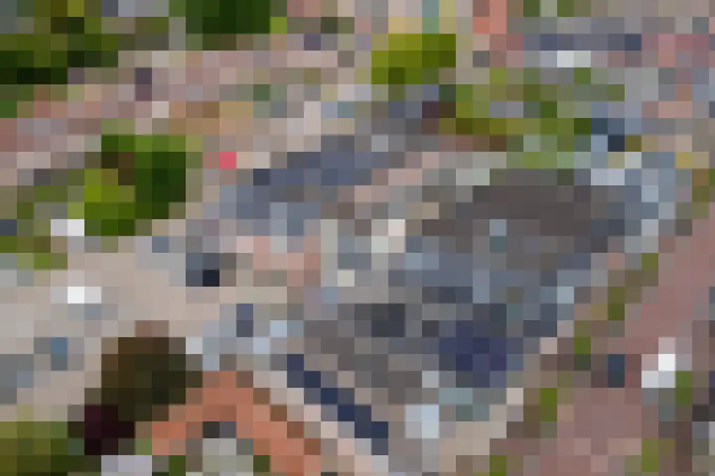 Tussenweg 78 Druten thumbnail 34