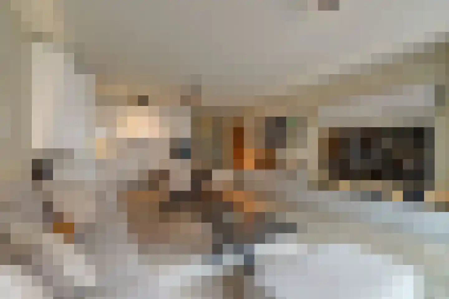Tussenzicht 23 Waddinxveen thumbnail 12