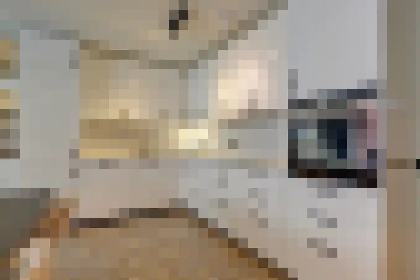 Tussenzicht 23 Waddinxveen thumbnail 18