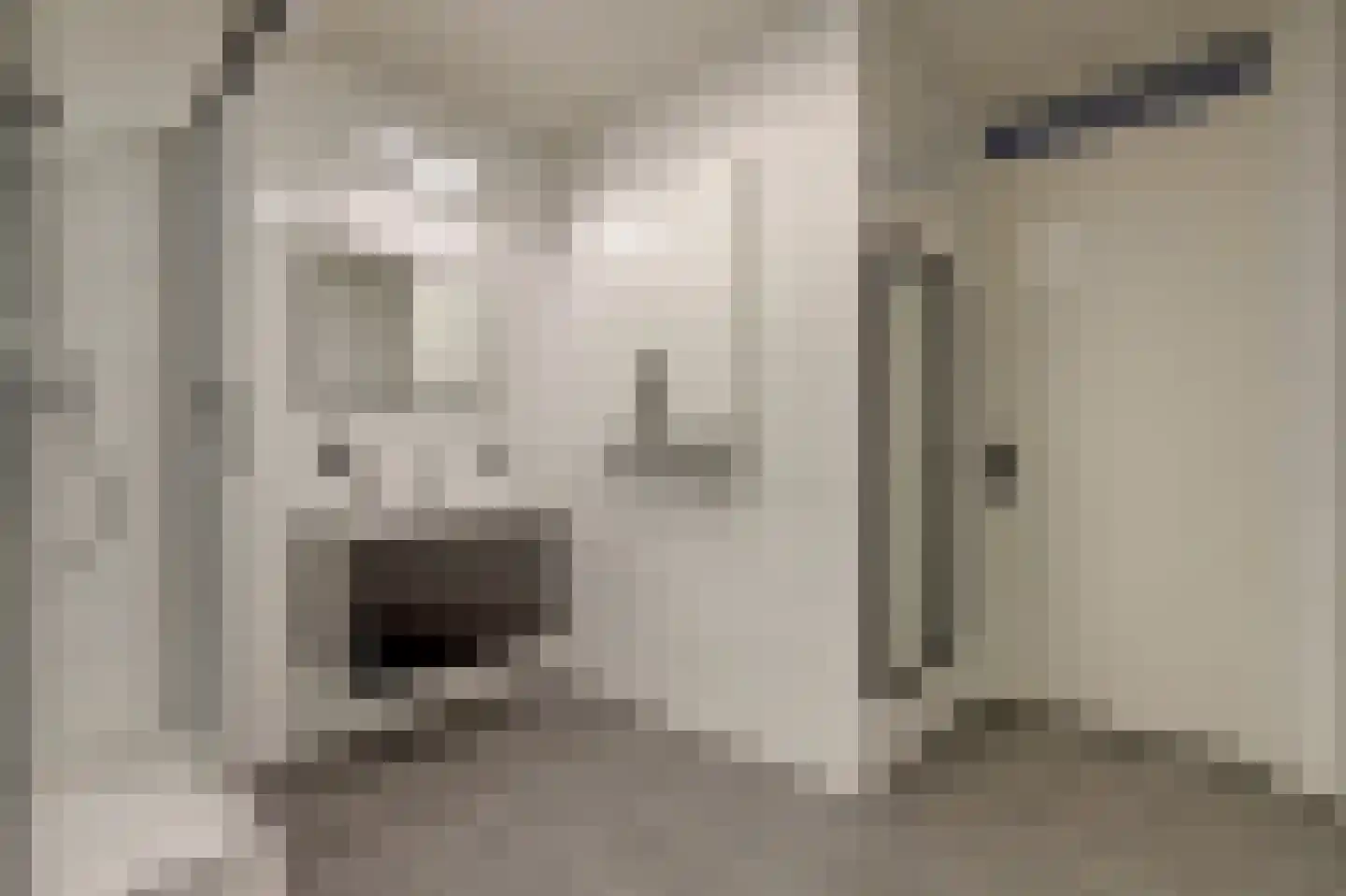 Tussenzicht 23 Waddinxveen thumbnail 30