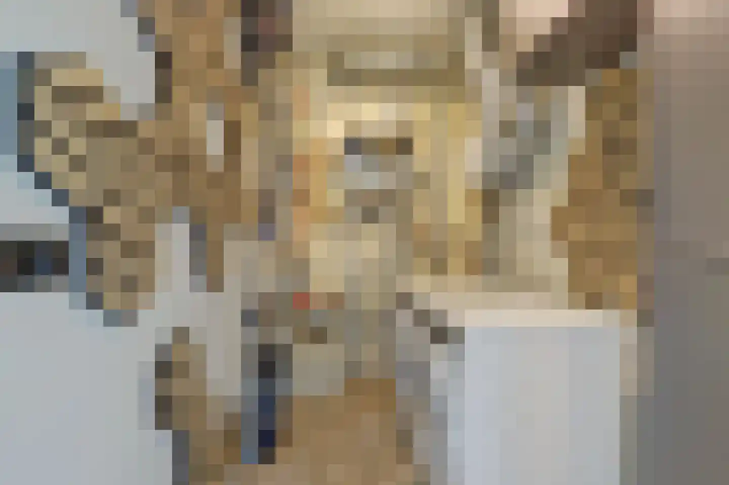 Tussenzicht 23 Waddinxveen thumbnail 32