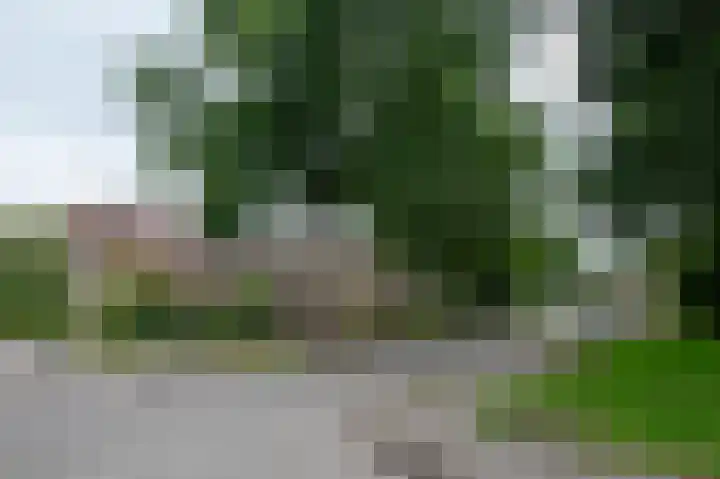 Tussenziel 9 Haren Gn thumbnail 10