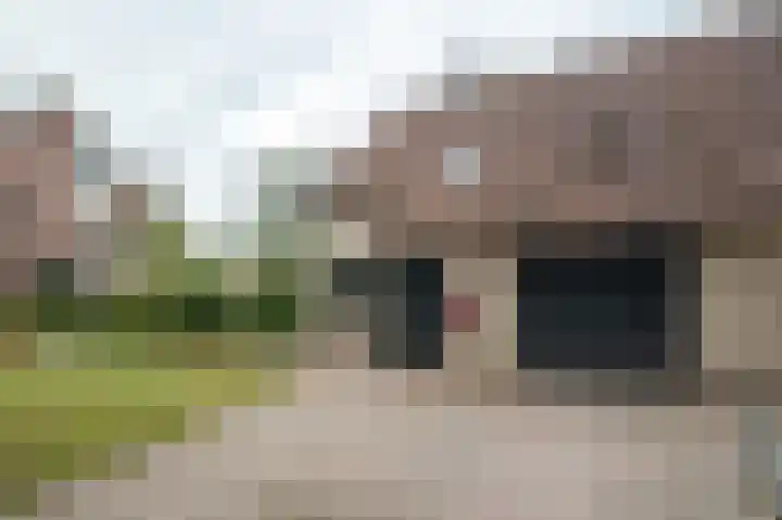Tussenziel 9 Haren Gn thumbnail 11