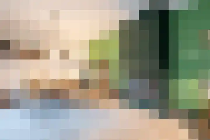 Tussenziel 9 Haren Gn thumbnail 18