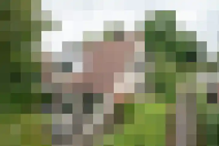 Tussenziel 9 Haren Gn thumbnail 36