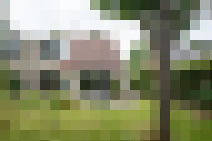 Tussenziel 9 Haren Gn thumbnail 37