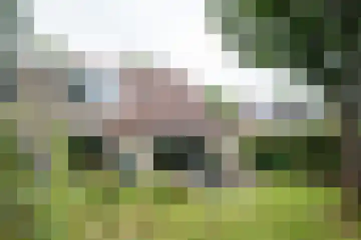 Tussenziel 9 Haren Gn thumbnail 39