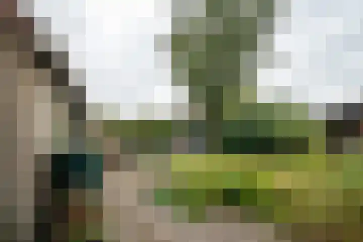 Tussenziel 9 Haren Gn thumbnail 40