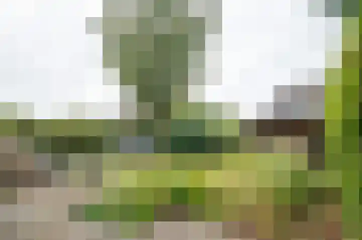 Tussenziel 9 Haren Gn thumbnail 41