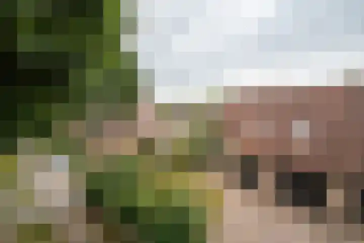 Tussenziel 9 Haren Gn thumbnail 6