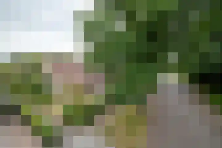Tussenziel 9 Haren Gn thumbnail 7