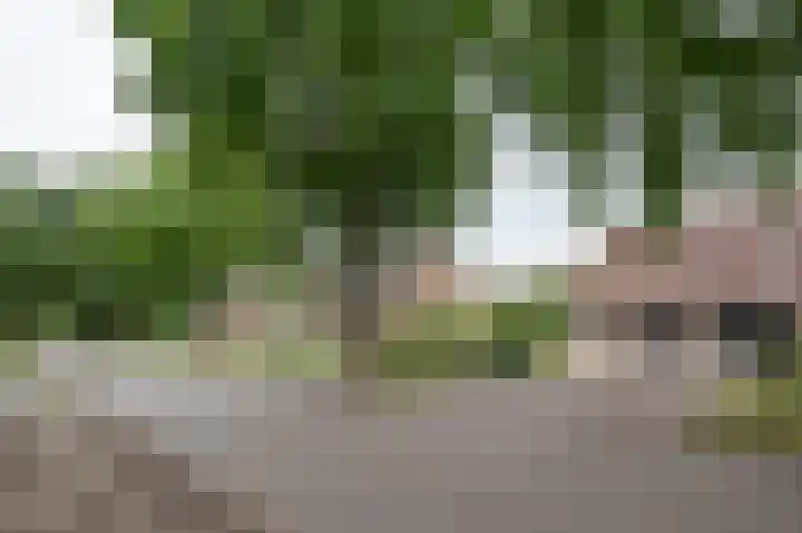 Tussenziel 9 Haren Gn thumbnail 9