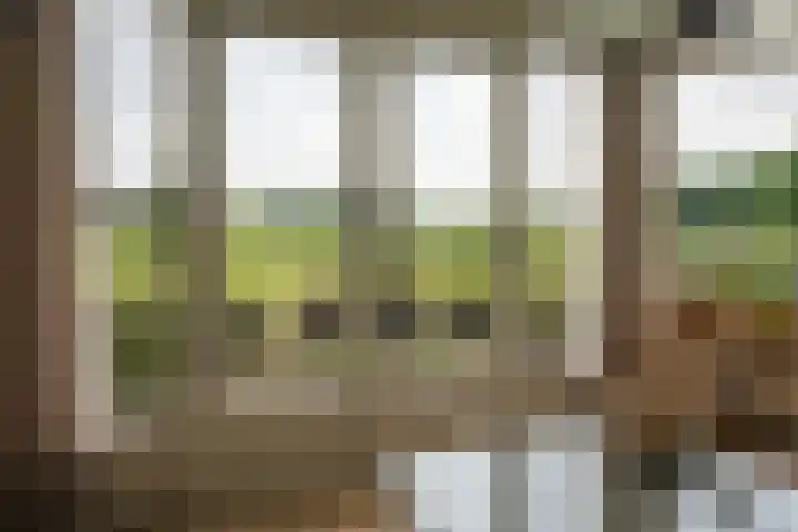 Tusveld 21 Bornerbroek thumbnail 14