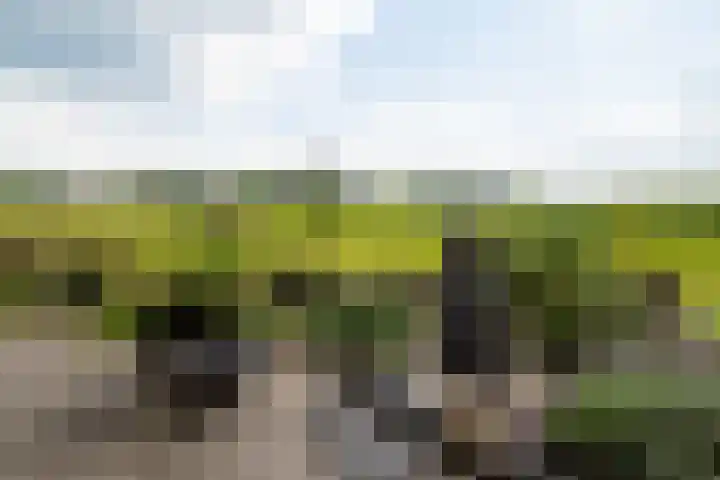 Tusveld 21 Bornerbroek thumbnail 27
