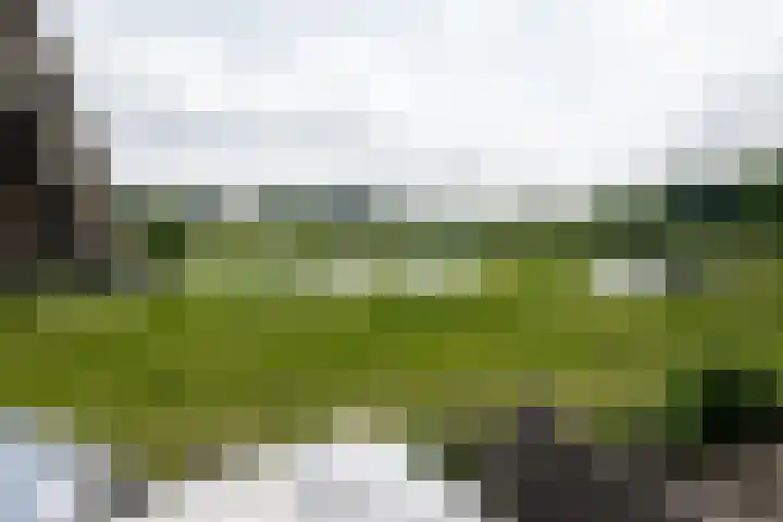 Tusveld 21 Bornerbroek thumbnail 29