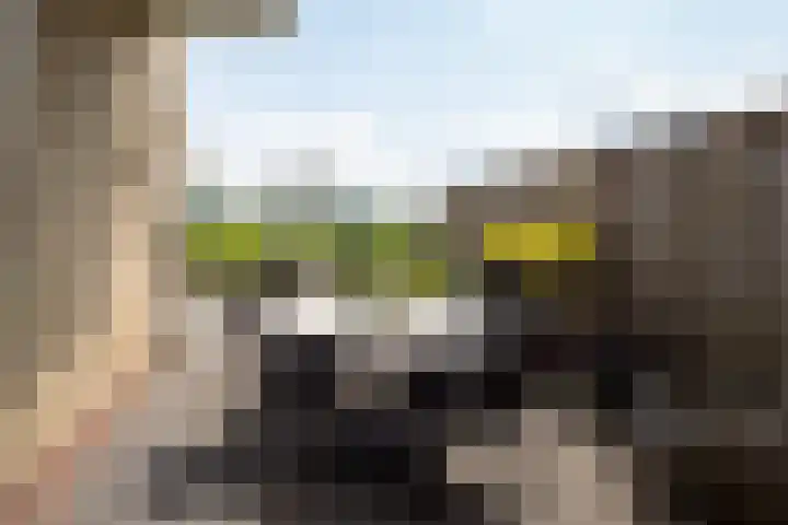 Tusveld 21 Bornerbroek thumbnail 30