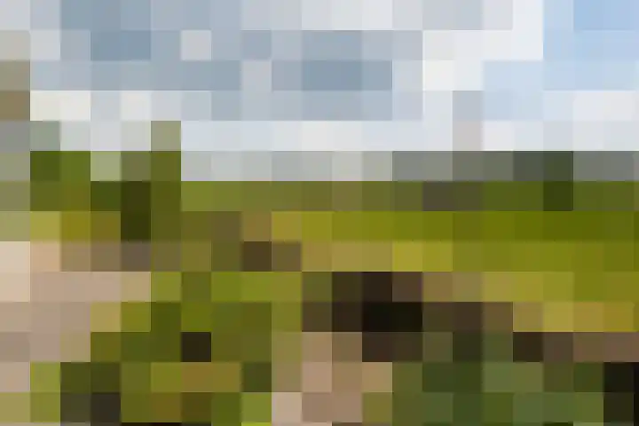 Tusveld 21 Bornerbroek thumbnail 31
