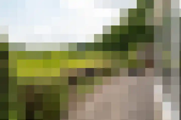 Tusveld 21 Bornerbroek thumbnail 32