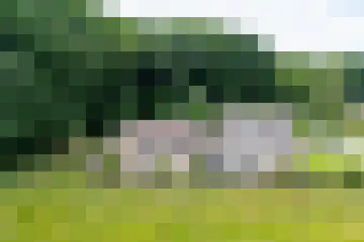 Tusveld 21 Bornerbroek thumbnail 33