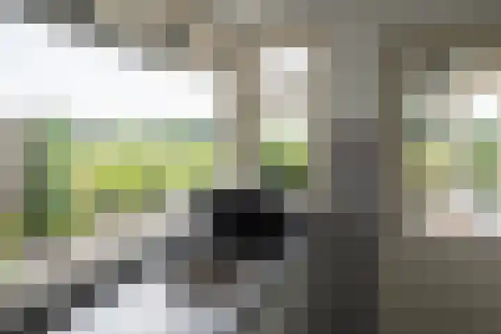 Tusveld 21 Bornerbroek thumbnail 39