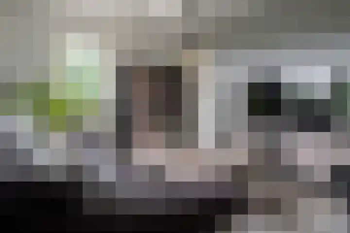Tusveld 21 Bornerbroek thumbnail 41