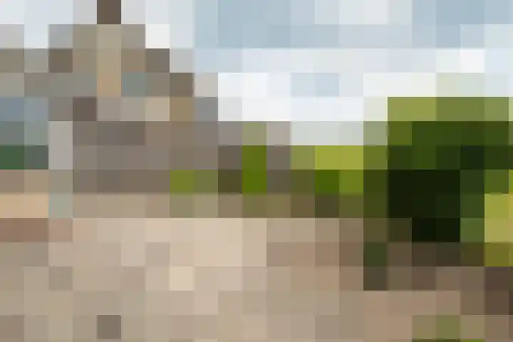 Tusveld 21 Bornerbroek thumbnail 53