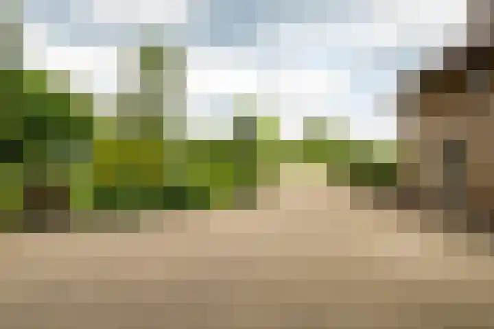 Tusveld 21 Bornerbroek thumbnail 60