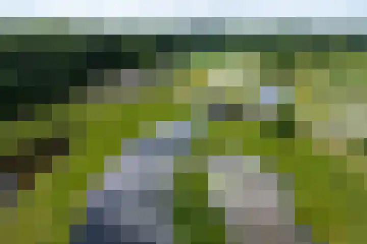 Tusveld 21 Bornerbroek thumbnail 62